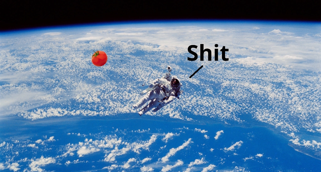 astronaut find lost tomato space