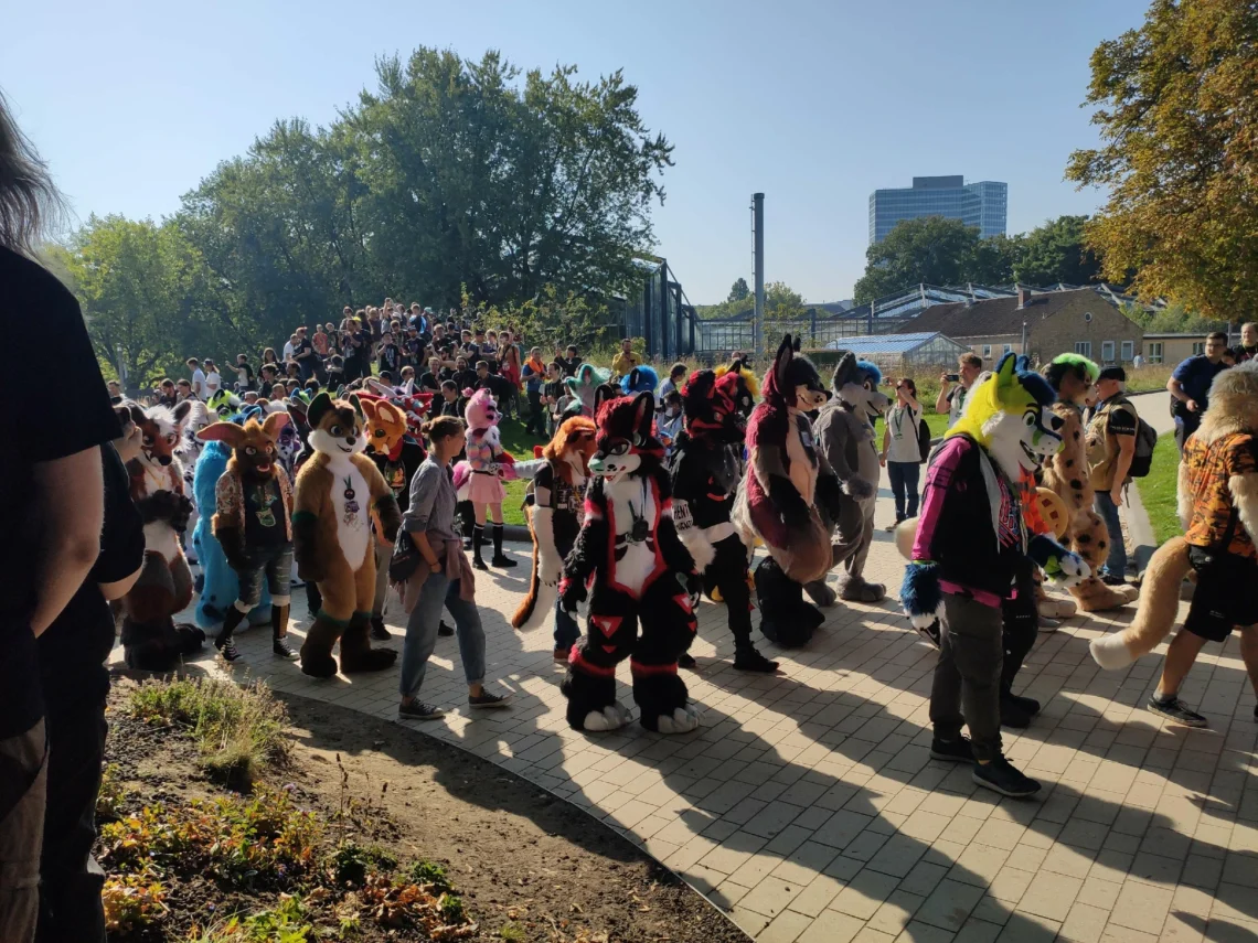 What are furries?