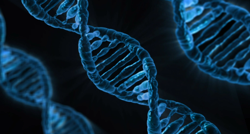 USP Project to Screen 5,000 Couples for detecting Genetic Disease Risk Before Conception
